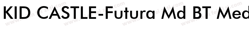 KID CASTLE-Futura Md BT Medium字体转换